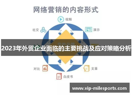 2023年外贸企业面临的主要挑战及应对策略分析