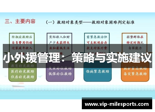 小外援管理：策略与实施建议
